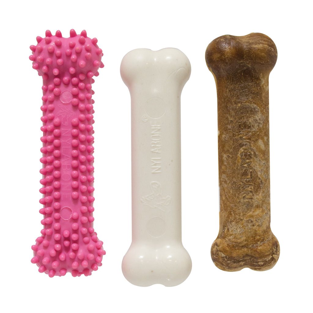 Nylabone Puppy Chew Variety Toy  Treat Triple Pack Chicken  Lamb Starter Kit, SMall/Regular  Up To 25 Ibs.