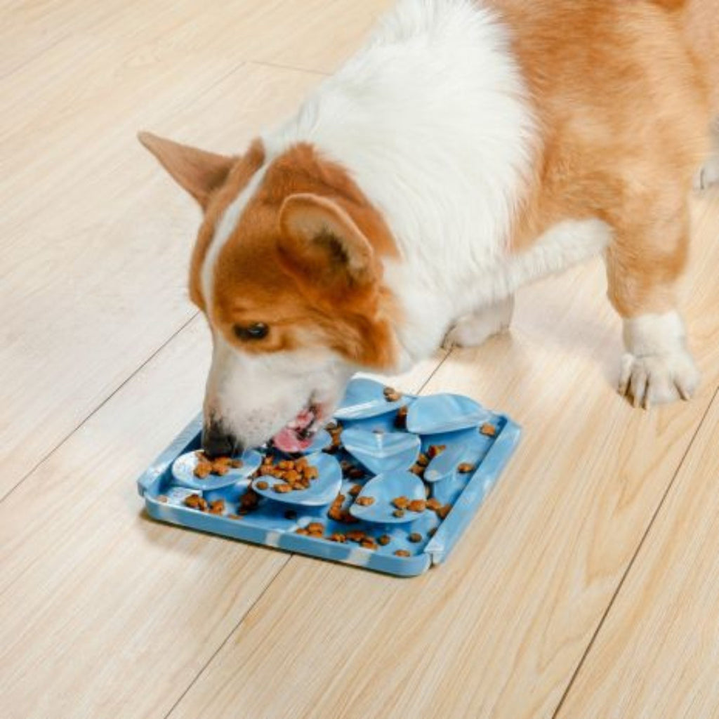 Tall Tails Dog Foraging Mat Rock