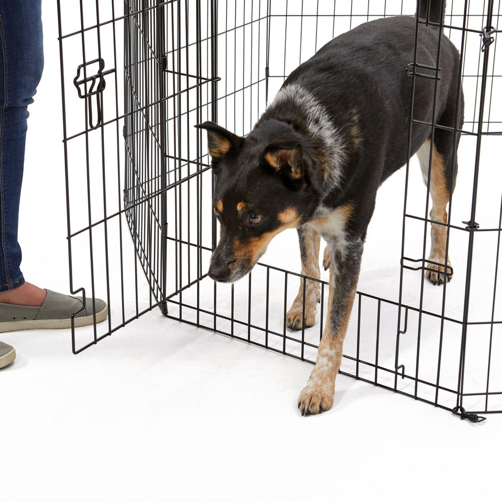MidWest Homes for Pets Contour Exercise Pen w/ Door 1ea/36in.