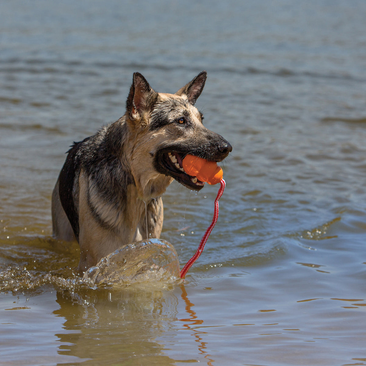 KONG Aqua Floating Retriever with Rope Orange Medium