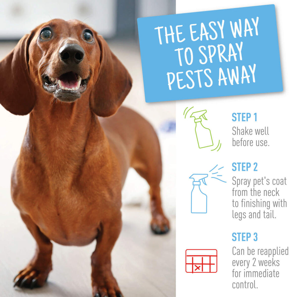 Adams Plus Flea & Tick Spray 16oz