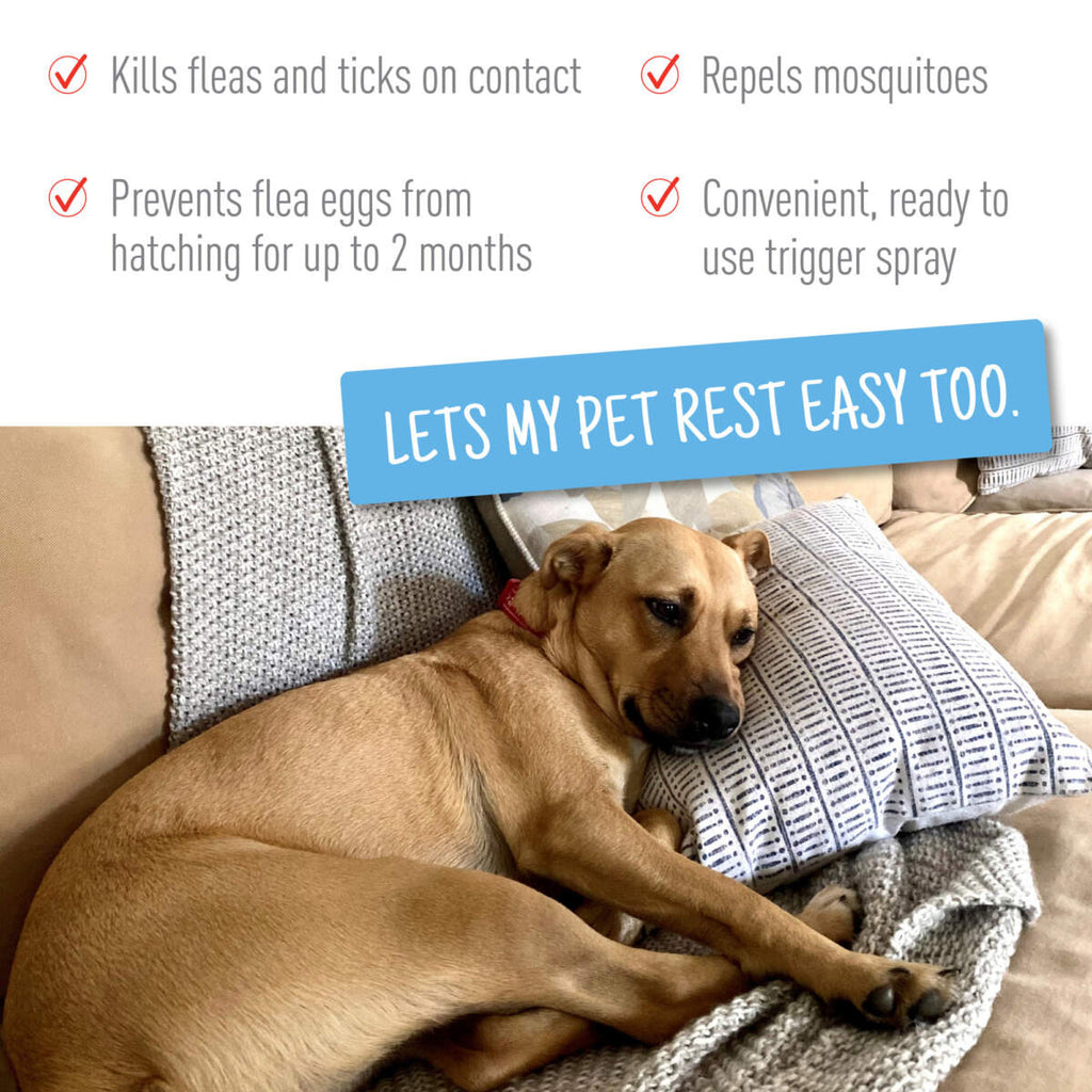 Adams Plus Flea & Tick Spray 32oz