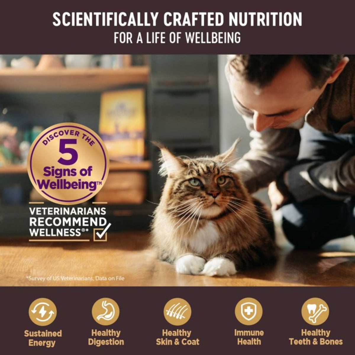 Wellness Cat Core Signature Select Shredded Chicken Turkey Entrée 2.8oz. (Case of 12)
