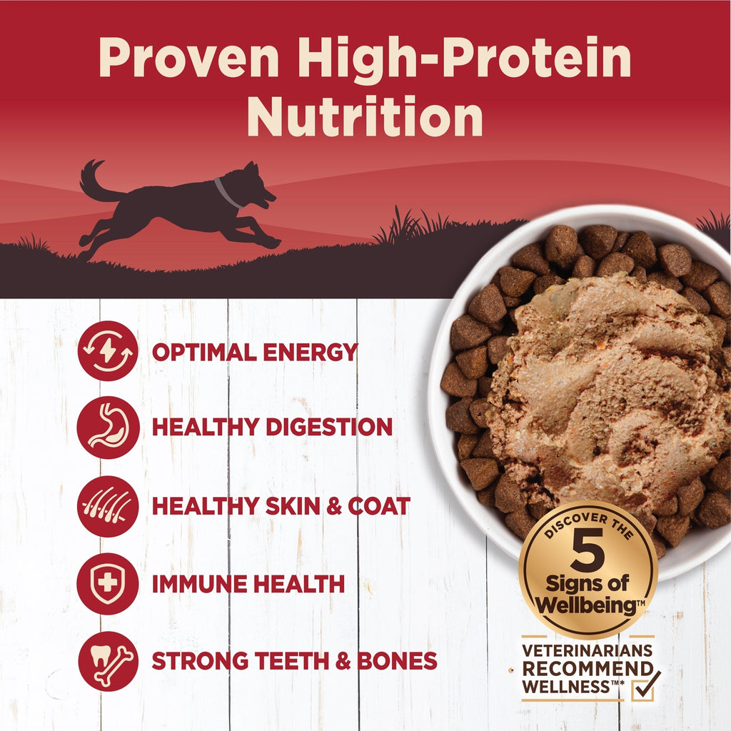 Wellness Dog Core 95% Beef Carrot 12.5oz. (Case of 12)