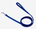 Coastal Single-Ply Nylon Dog Leash Blue 5/8X4ft