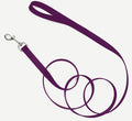 Coastal Single-Ply Nylon Dog Leash Black 5/8X6ft