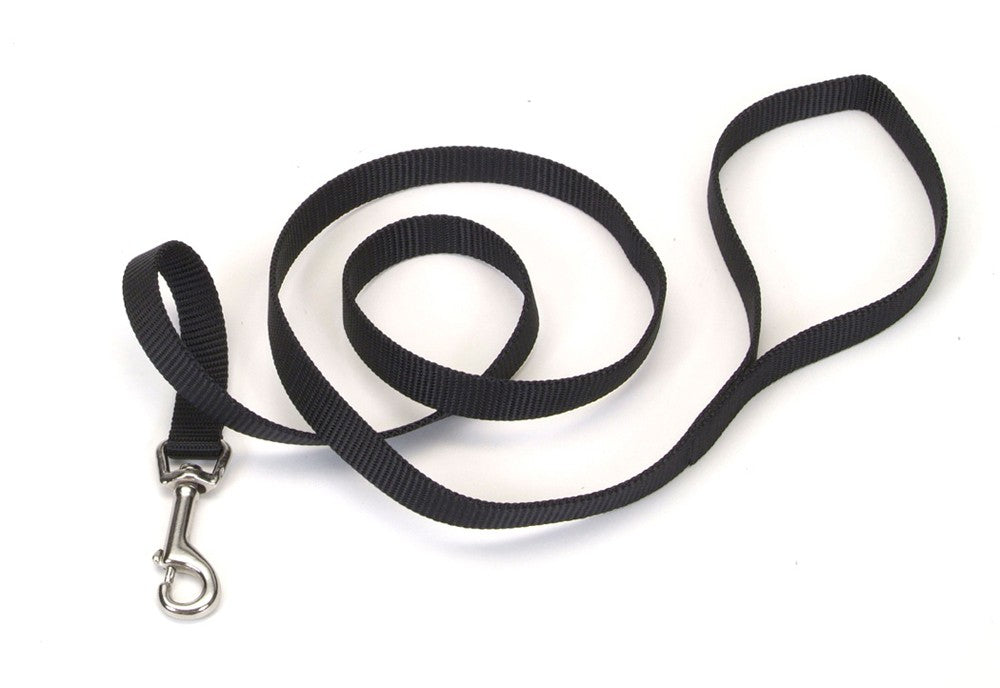 Coastal Single-Ply Nylon Dog Leash Black 3/4X4ft