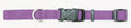 Coastal Adjustable Nylon Dog Collar with Plastic Purple 3/4X14-20in