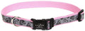 Coastal Lazer Brite Reflective Adjustable Dog Collar Turquoise Bones 5/8X12-18in