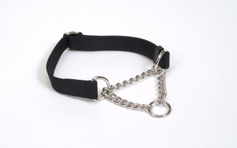 Coastal Adjustable Check Training Dog Collar Black 5/8X10-14in