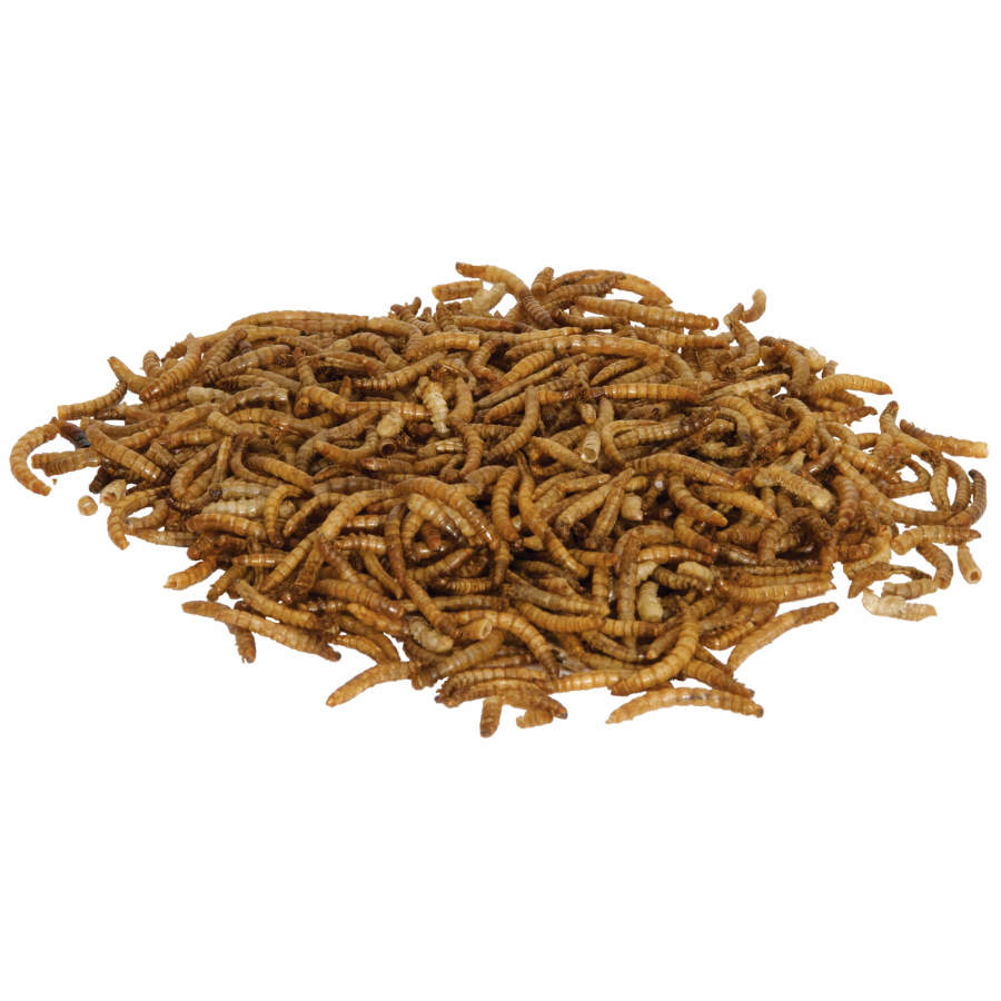 Zilla Munchies Mealworms Reptile Food Trial Size.5oz
