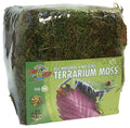 Zoo Med Terrarium Moss Mini Bale