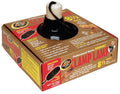 Zoo Med Deluxe Professional Series Dimmable Clamp Lamp Black 8.5in