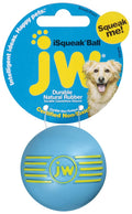 JW iSqueak Ball Dog Toy Small
