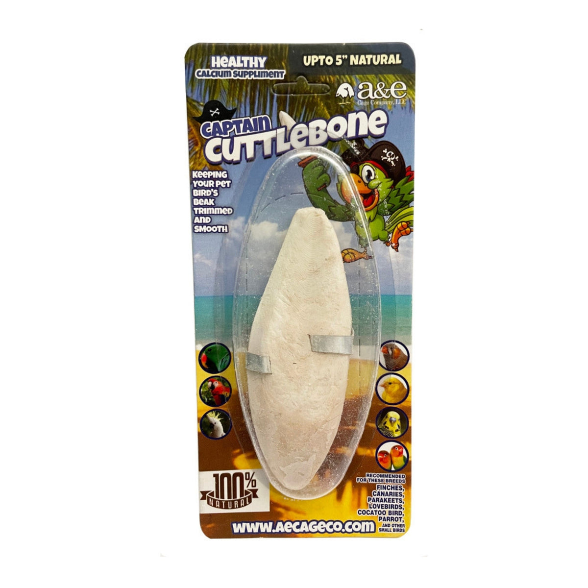 A & E Cages Natural Cuttlebone 1ea/5 in.  (Pack of 3)