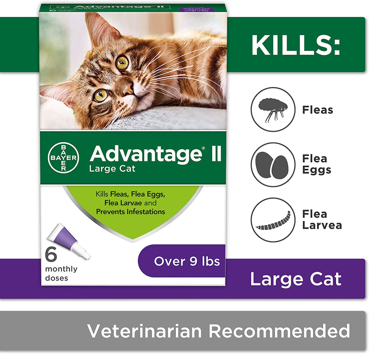 Advantage II Flea Protection Large Cat Over 9lbs 6pk