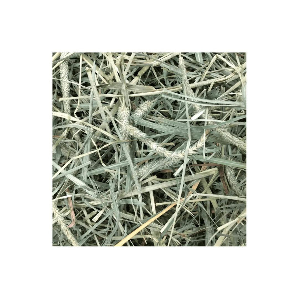 Oxbow Animal Health Hay Blends Western Timothy & Orchard Grass Hay Blends 1ea/40 oz