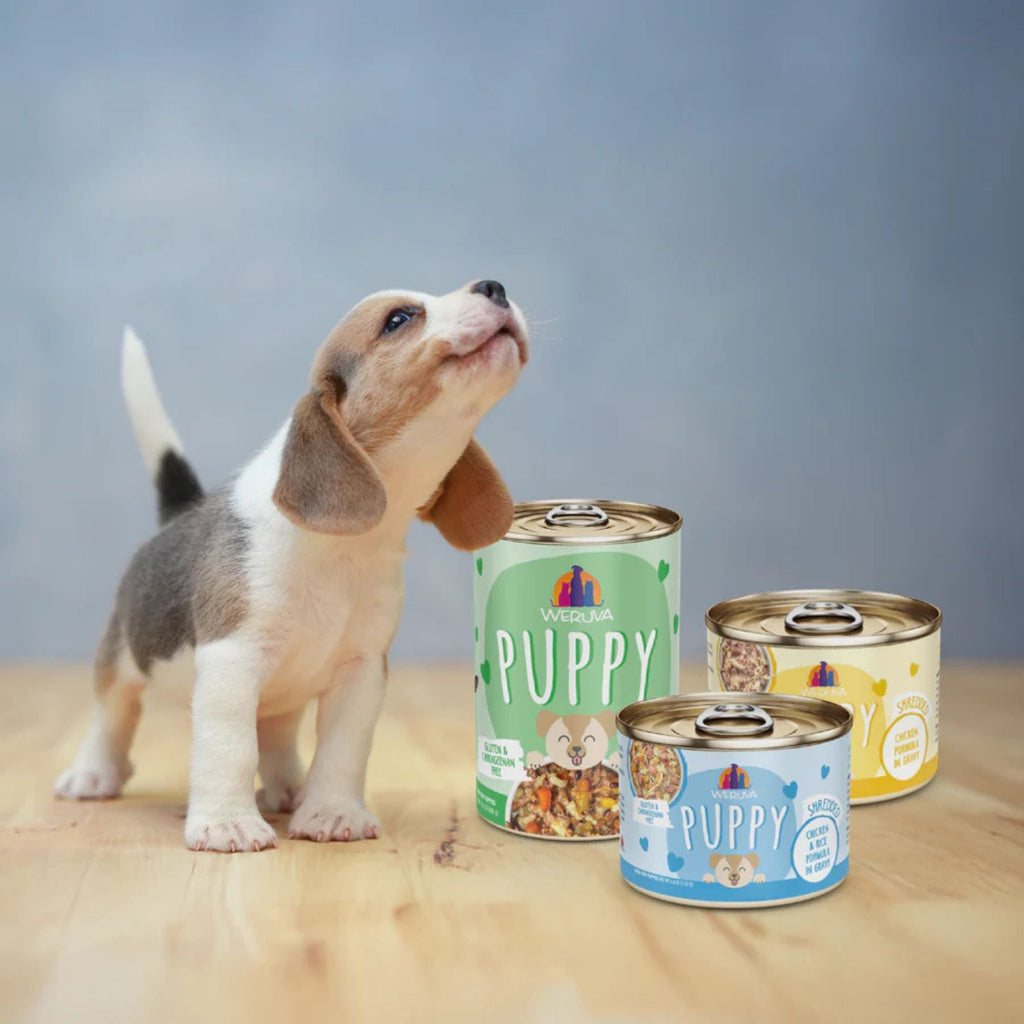 Weruva Dog Puppy Chicken Formula 6oz. - (Case of 8)