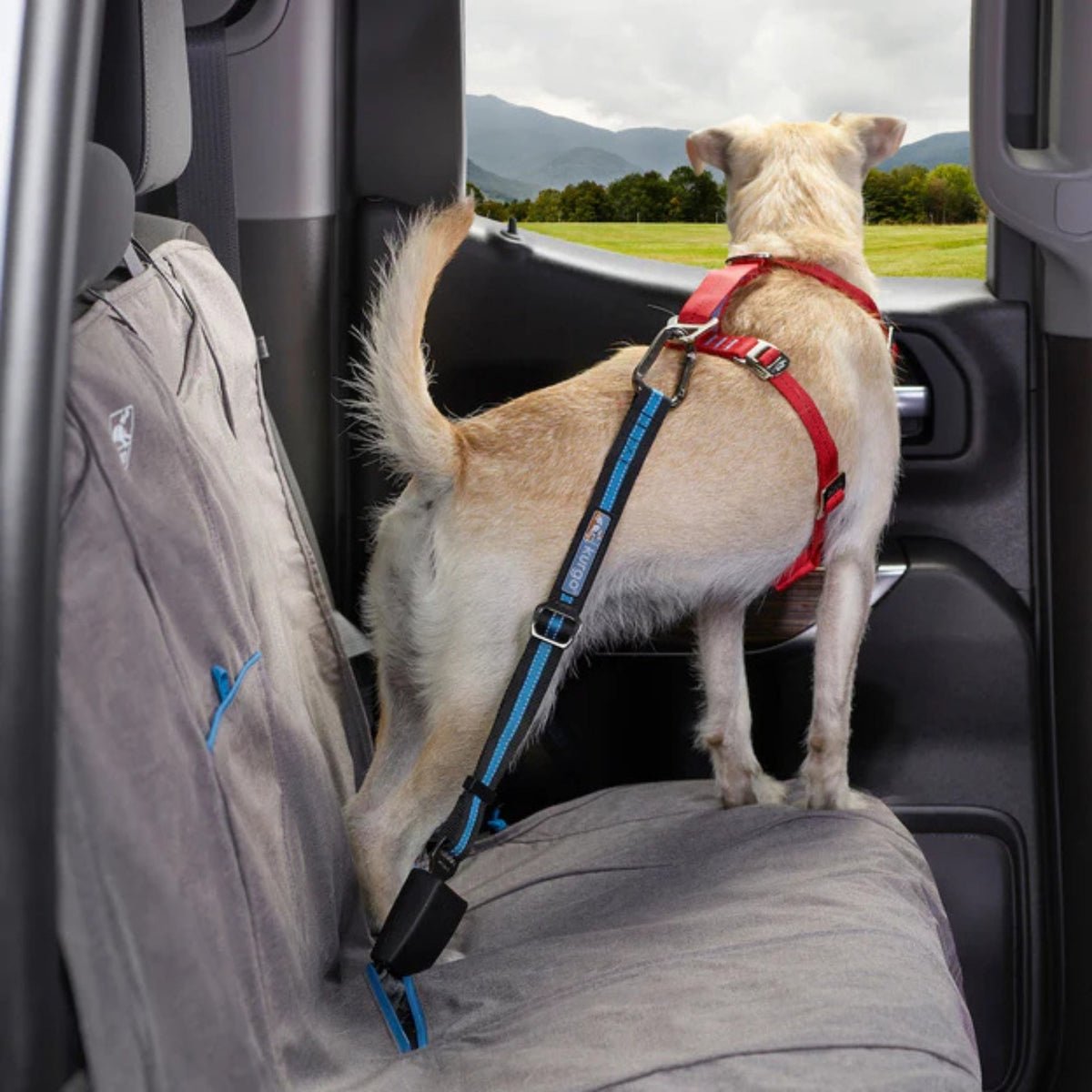 Kurgo Dog Seat Belt Tether Blue