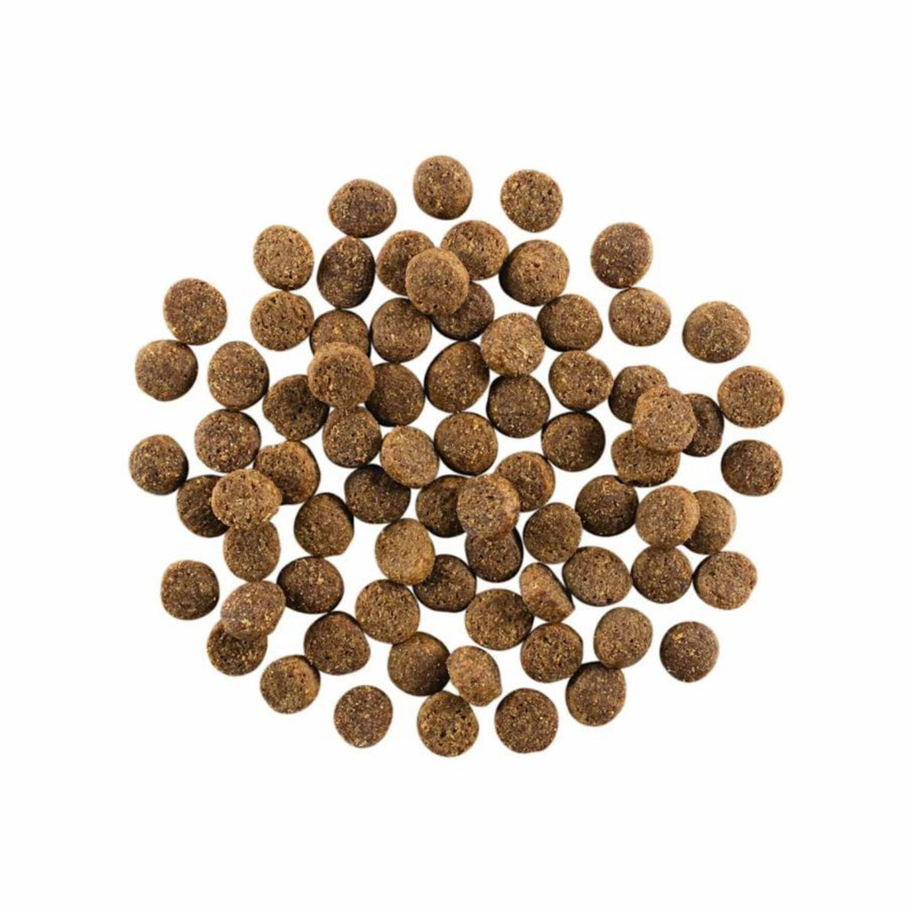 Go! Dog Skin & Coat Care Salmon With Grain 3.5Lb