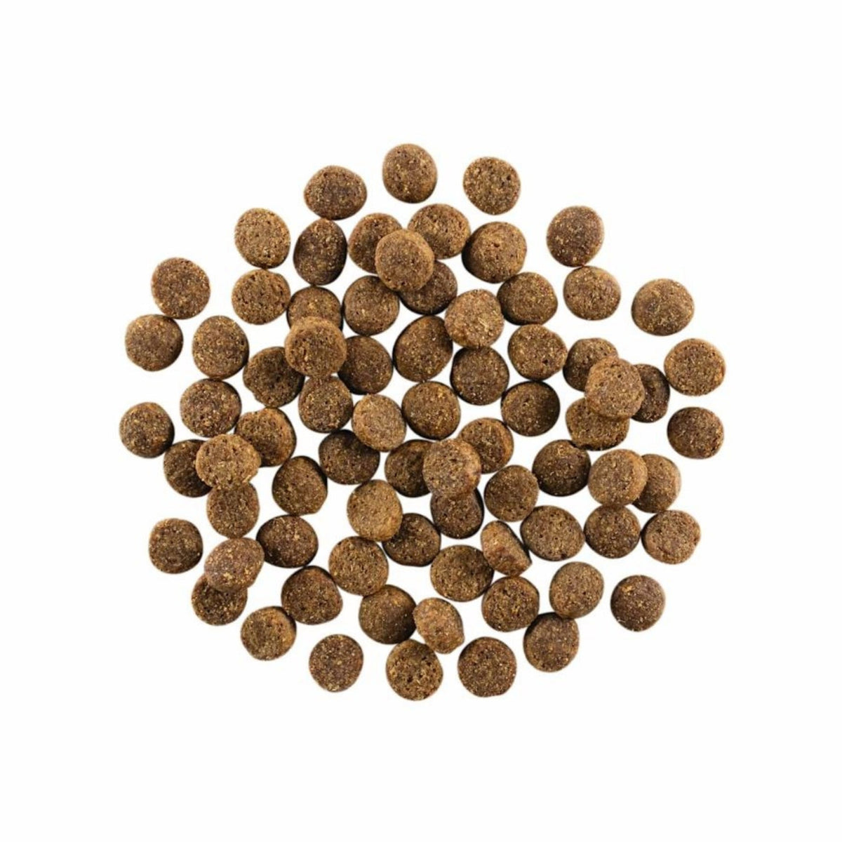 Go! Dog Skin & Coat Care Salmon With Grain 12Lb