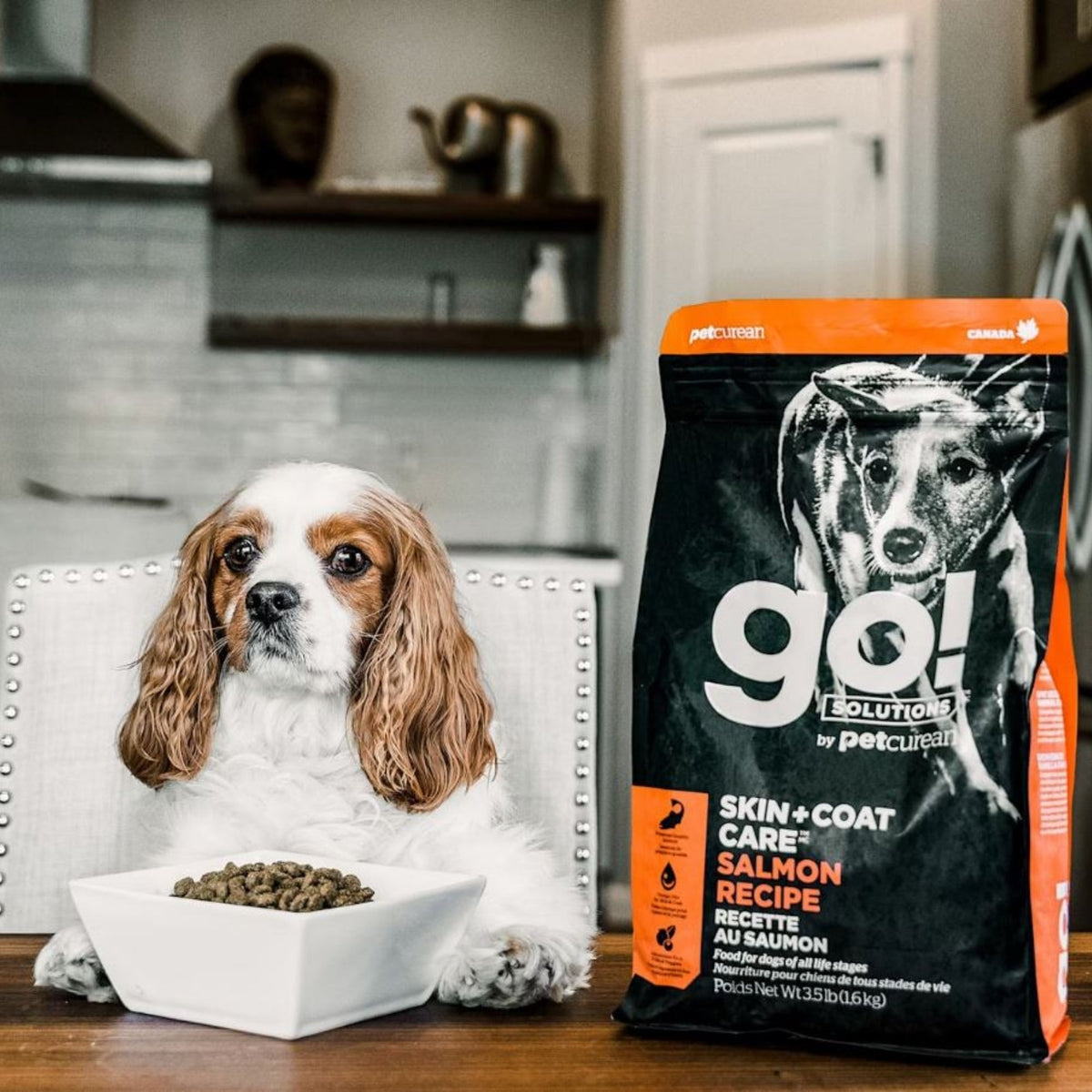 Go! Dog Skin & Coat Care Salmon With Grain 12Lb