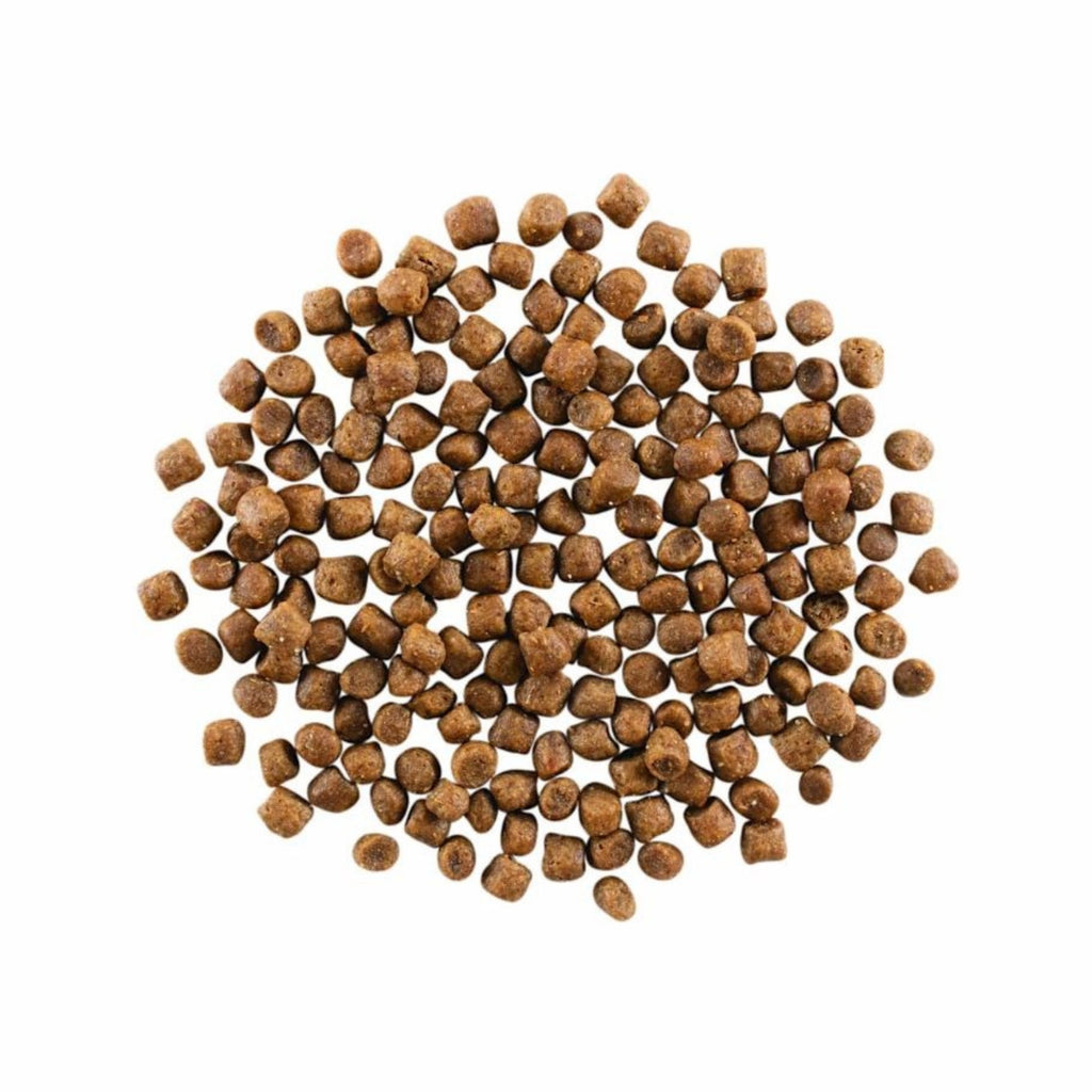 Go! Cat Skin & Coat Care Chicken With Grain 3Lb