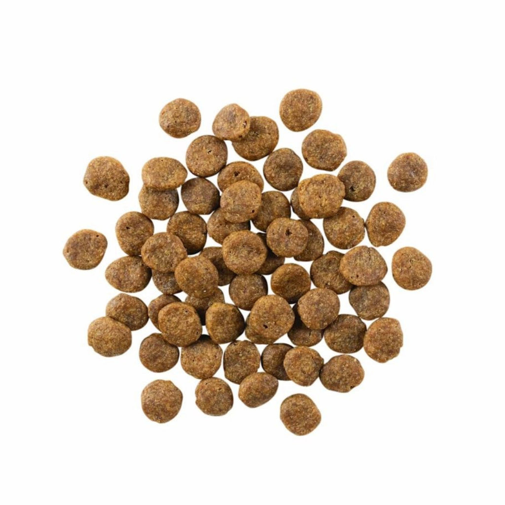 Go! Dog Sensitivities Limited Ingredient Grain Free Salmon 22Lb
