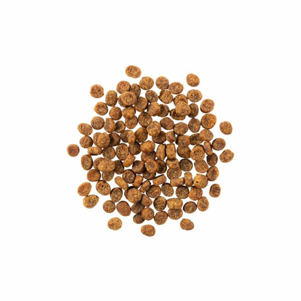 Go! Cat Sensitivities Limited Ingredient Grain Free Salmon 3Lb