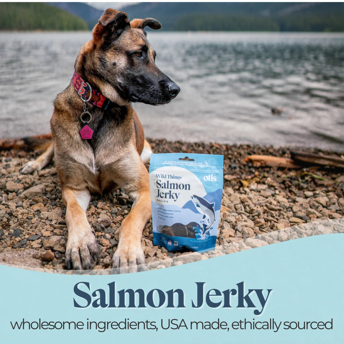Otis Dog Wild Things Wild Alaskan Salmon Jerky 4oz.