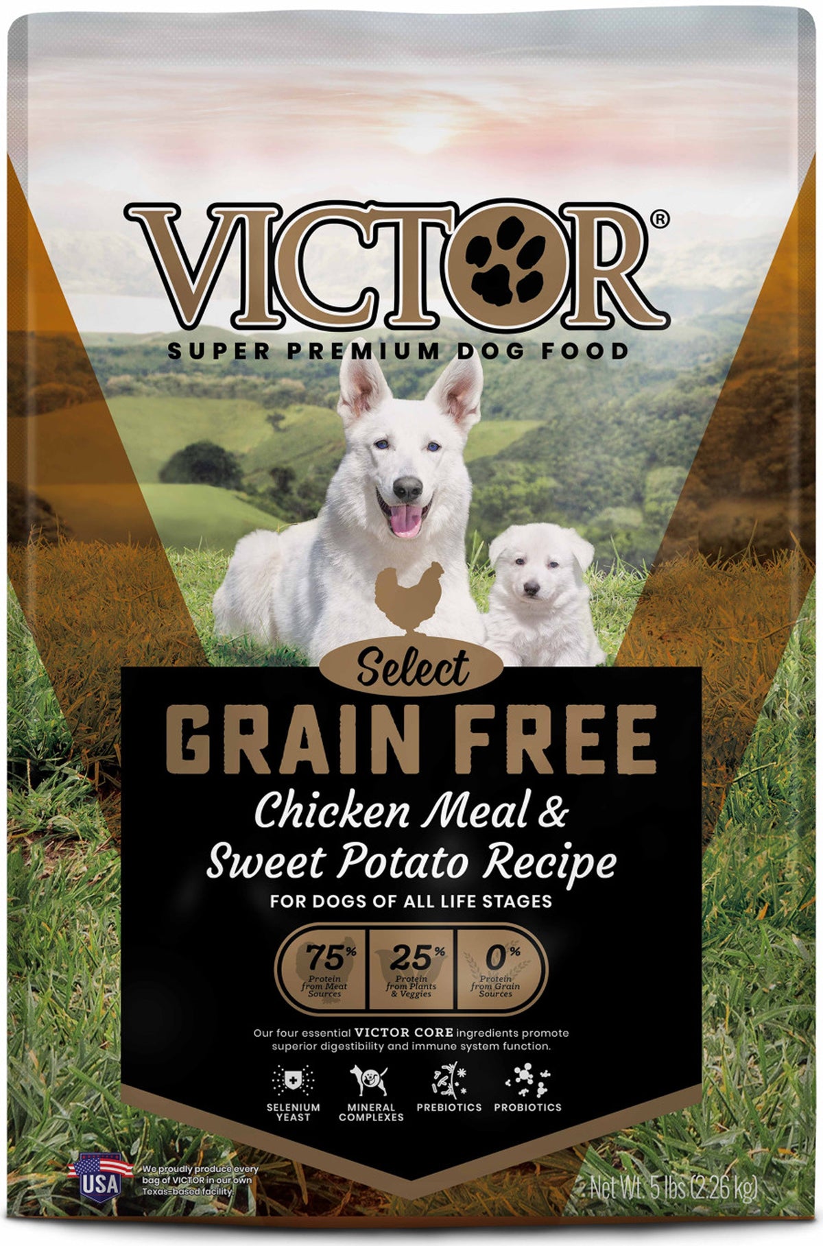 Victor Grain Free Chicken Dry Dog Food 5lb